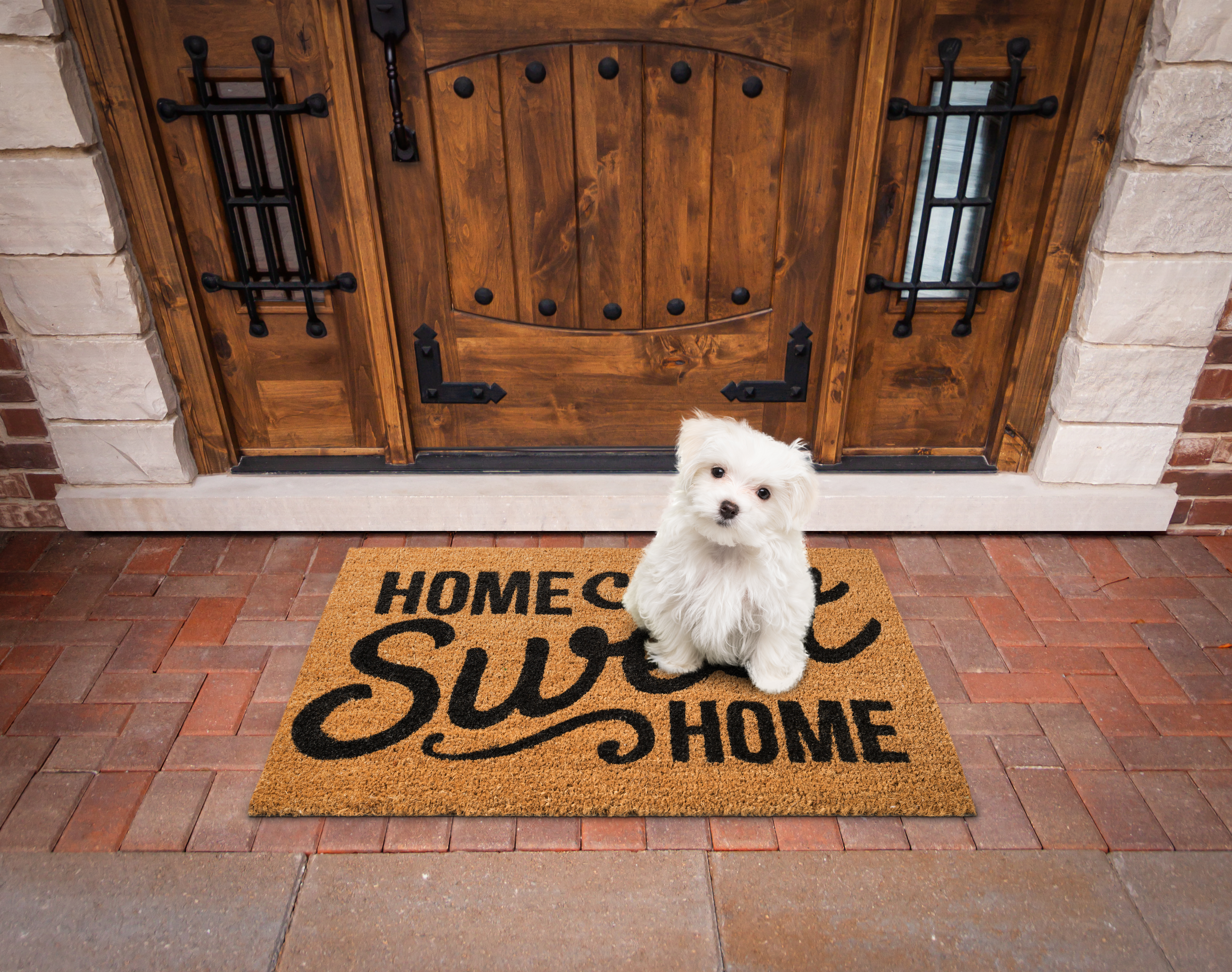 Maltese Puppy Sitting Home Sweet Home Welcome Mat At Front Door Of House. Maltese Puppy Sitting Home Sweet Home Welcome Mat At Front Door Of House.